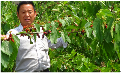 我国最近有什么重大科技发明-中国近代有那些