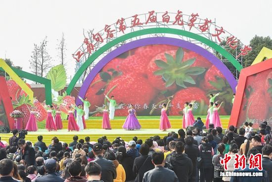句容第五届白兔草莓文化节开幕迎来八方客什么是金枪鱼图片图片