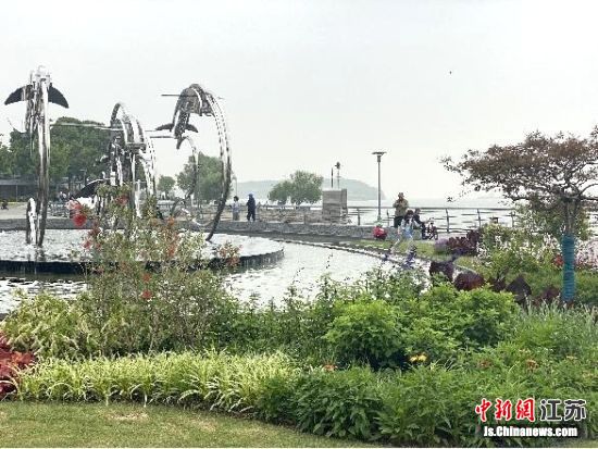 部)(分)(获)(奖)(的)(绿)(地)(花)(境)(景)(观)(。 朱)(磊)( 摄)(