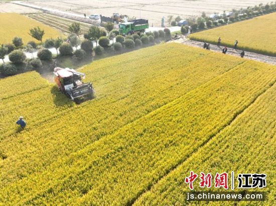 前洲街道高标准农田俯瞰;2、秋收大幕开启。前洲街道 供图 前洲街道高标准农田俯瞰;2、秋收大幕开启。前洲街道 供图