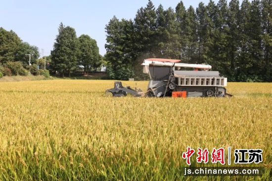 前洲街道高标准农田俯瞰;2、秋收大幕开启。前洲街道 供图 前洲街道高标准农田俯瞰;2、秋收大幕开启。前洲街道 供图