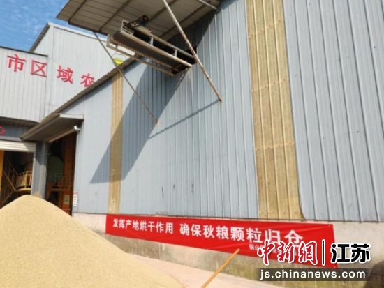 何桥镇整合全镇粮食烘干机,协调周边乡镇烘干设备,确保“湿粮不落地、颗粒不受潮”。李政道 摄 何桥镇整合全镇粮食烘干机,协调周边乡镇烘干设备,确保“湿粮不落地、颗粒不受潮”。李政道 摄