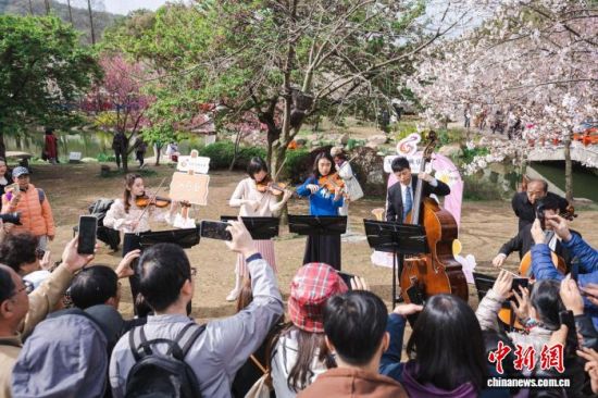 无锡交响乐团在鼋头渚演出。(资料图)无锡市委宣传部供图 无锡交响乐团在鼋头渚演出。(资料图)无锡市委宣传部供图