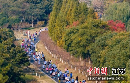 现场。南京市高淳区委宣传部 供图 现场。南京市高淳区委宣传部 供图