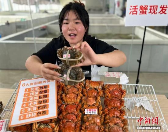 10月29日,主播以养蟹池为背景进行直播。中新社记者 朱晓颖 摄 10月29日,主播以养蟹池为背景进行直播。中新社记者 朱晓颖 摄