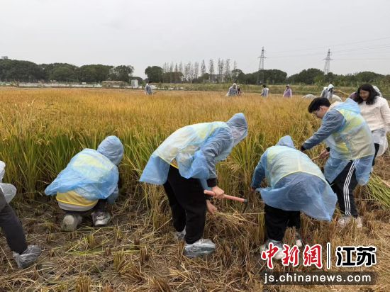 青年走进田间劳作。 青年走进田间劳作。