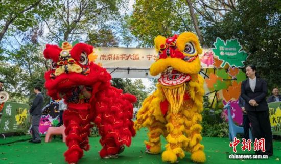 活动现场。南京市台办 供图 活动现场。南京市台办 供图