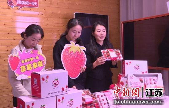 新民村“一米甜”农产品专业合作社草莓采摘基地内,新农人通过网络平台推介本地头茬草莓。商林生 摄 新民村“一米甜”农产品专业合作社草莓采摘基地内,新农人通过网络平台推介本地头茬草莓。商林生 摄