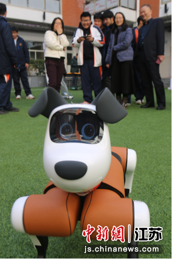 学生参与科技节。南京外国语学校仙林分校国际高中 供图 学生参与科技节。南京外国语学校仙林分校国际高中 供图