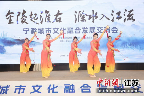 宁滁城市文化融合发展交流会在南京举办。于锋 摄 宁滁城市文化融合发展交流会在南京举办。于锋 摄