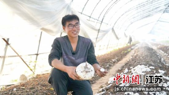 陈彬展示双孢菇。周杨 摄 陈彬展示双孢菇。周杨 摄