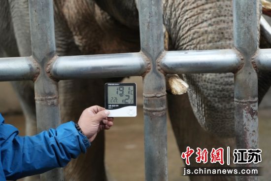 ʵʱ�¶���ʾ����������԰ ��ͼ