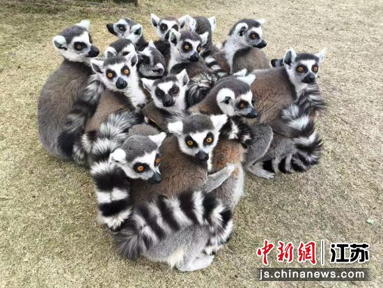 ���ﱧ��ȡů����������԰ ��ͼ