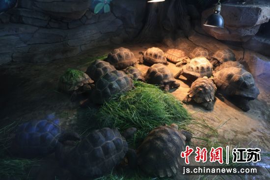 ����԰���½�ꡣ��������԰ ��ͼ