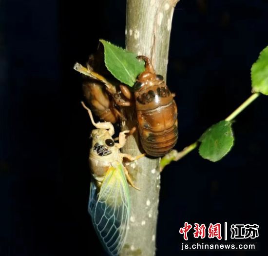 ���أ��Բ��ɸ�������������������¶���