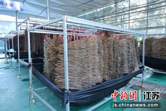 ¹¥����Ʋ�Ұ�����ֻ��ء�����¹¥�� ��ͼ