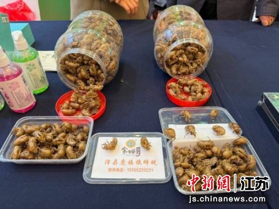 ������ҽҩ��ҵ��չ�������г�������ʢ���۸�����߸ߡ�����¹¥�� ��ͼ