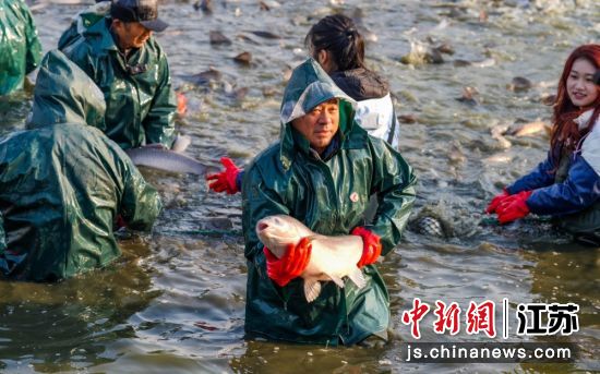 渔民展示捕捞的青鱼。鹅湖镇 供图 渔民展示捕捞的青鱼。鹅湖镇 供图