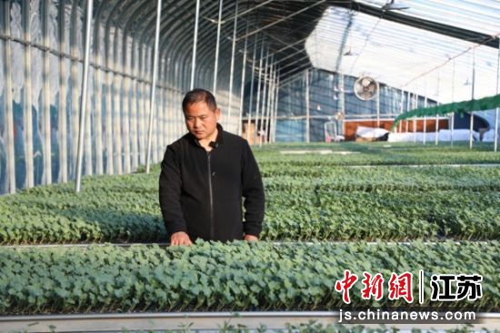 夏东方在农场查看西瓜苗。冯威 摄 夏东方在农场查看西瓜苗。冯威 摄