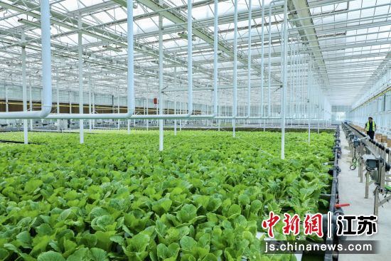 ½��δ���ǻ���԰����ɽ��ί��У��ͼ