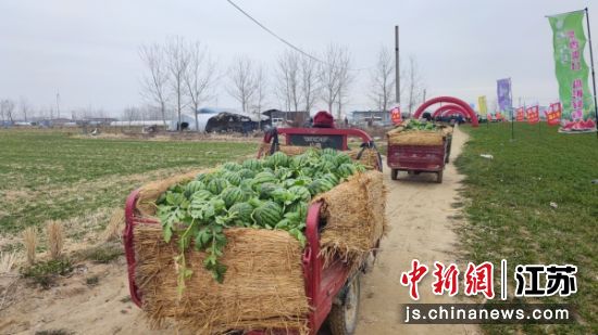 工人转运西瓜。周杨 摄 工人转运西瓜。周杨 摄