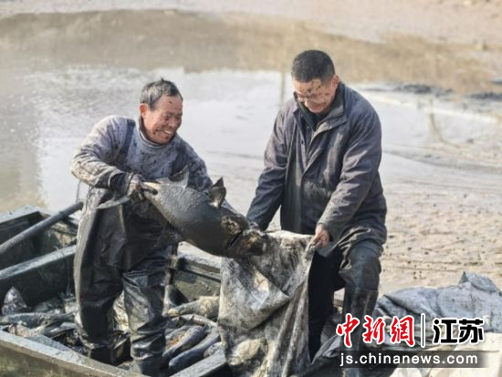 共享鱼塘丰收景象让捕鱼能手们喜不自胜。丁雅琦 摄 共享鱼塘丰收景象让捕鱼能手们喜不自胜。丁雅琦 摄