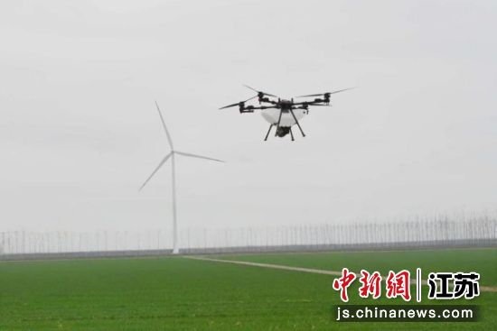 麦田里,无人机进行植保作业。冯威 摄 麦田里,无人机进行植保作业。冯威 摄