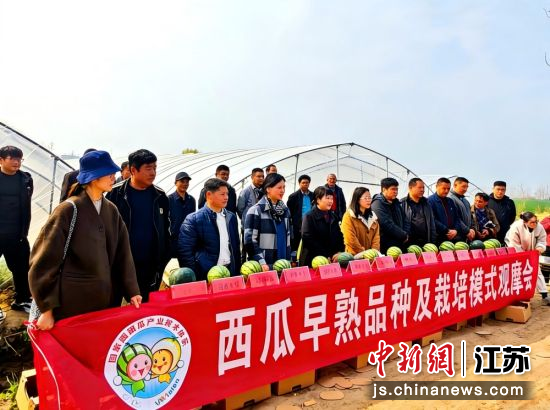 西瓜早熟品种及栽培模式观摩会。王蔚 摄 西瓜早熟品种及栽培模式观摩会。王蔚 摄
