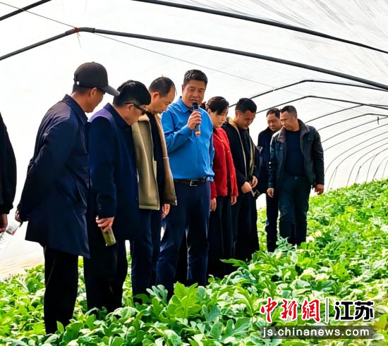 国家西甜瓜产业技术体系淮安综合试验站站长孙玉东介绍西瓜新品种及其配套栽培技术。王蔚 摄 国家西甜瓜产业技术体系淮安综合试验站站长孙玉东介绍西瓜新品种及其配套栽培技术。王蔚 摄