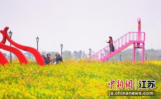 游客们徜徉于花海,拍照打卡。杨斐 摄 游客们徜徉于花海,拍照打卡。杨斐 摄