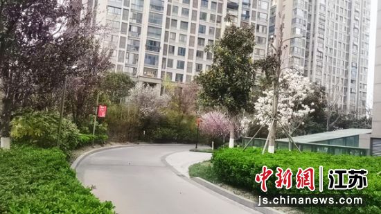小区环境面貌一新。盐渎街道 供图 小区环境面貌一新。盐渎街道 供图