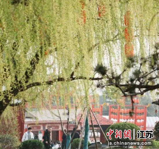 春日的蟠桃山景区,植物冒出新芽,春花灿烂绽放。徐州经开区 供图 春日的蟠桃山景区,植物冒出新芽,春花灿烂绽放。徐州经开区 供图