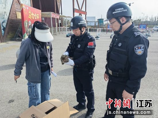 边检民警将长耳鸮送往大丰港动物园进行临时保护。