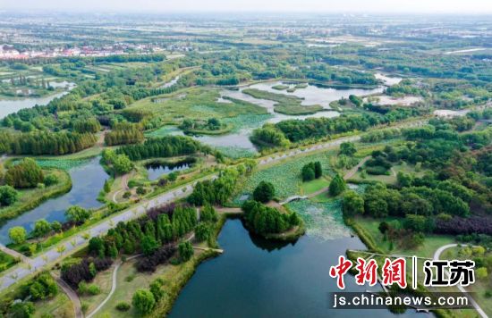 水乡巴城。巴城镇 供图