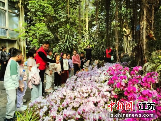 ��������ֲ��԰�ȴ�ֲ����ڲιۡ� ֲ��԰���� ��ͼ