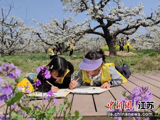 ����������԰�вμӴ���д�����������ί������ ��ͼ