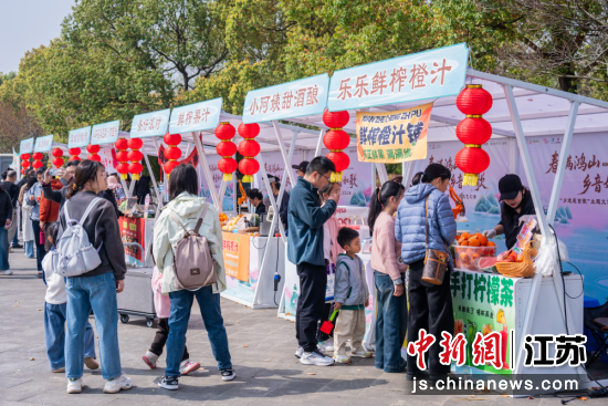 主题市集。无锡鸿山旅游度假区 供图 主题市集。无锡鸿山旅游度假区 供图