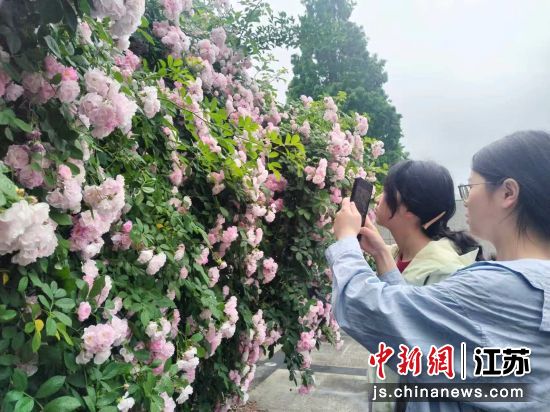 活动现场。王睿 摄 活动现场。王睿 摄