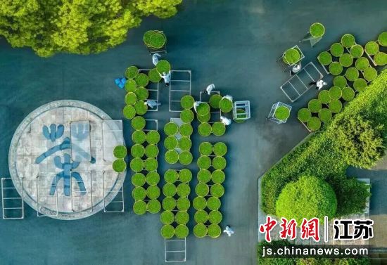 茶产业也是宜兴的“重头戏”。宜兴发布 供图 茶产业也是宜兴的“重头戏”。宜兴发布 供图