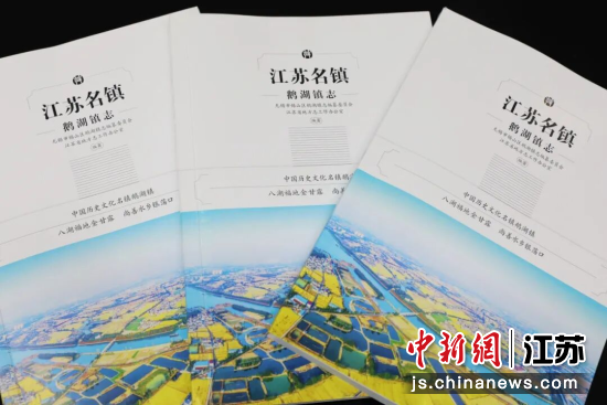 《鹅湖镇志》封面。方旖琳 摄 《鹅湖镇志》封面。方旖琳 摄