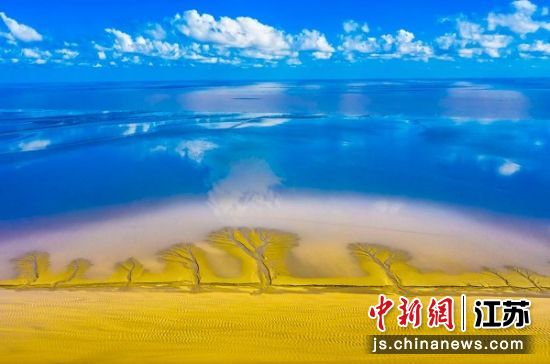 盐城黄海湿地。盐城市委宣传部 供图 盐城黄海湿地。盐城市委宣传部 供图
