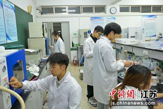 团队成员在工作中。袁梅 摄 团队成员在工作中。袁梅 摄