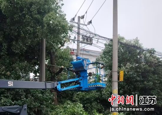 修剪厂区周边杂树。堰桥街道 供图 修剪厂区周边杂树。堰桥街道 供图