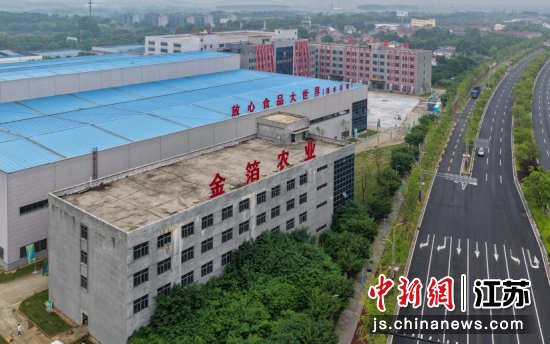 航拍金箔农业集团。中新网记者 泱波 摄 航拍金箔农业集团。中新网记者 泱波 摄