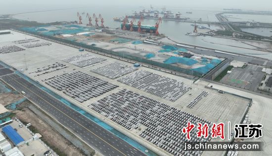 4146辆整车整装待发。盐城出入境边防检查站 供图 4146辆整车整装待发。盐城出入境边防检查站 供图