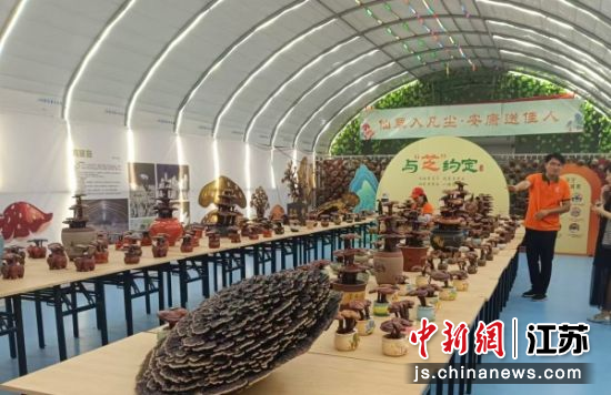 “云体验”非遗技艺直播现场。朱梓 摄 “云体验”非遗技艺直播现场。朱梓 摄
