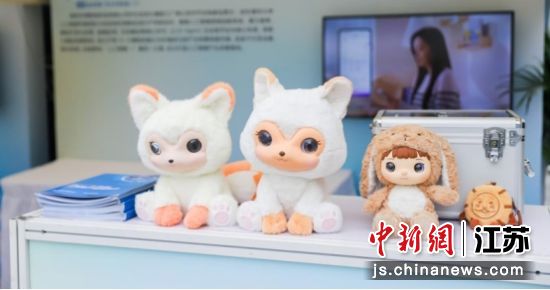 “玄机AI全栈式软硬件解决方案”成果展示。南京市玄武区委宣传部 供图 “玄机AI全栈式软硬件解决方案”成果展示。南京市玄武区委宣传部 供图