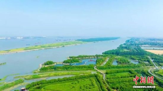 长江泰兴段,江滩绿意绵延,江河与湿地共生,绘就长江大保护生态画卷。泰兴市委网信办供图 长江泰兴段,江滩绿意绵延,江河与湿地共生,绘就长江大保护生态画卷。泰兴市委网信办供图