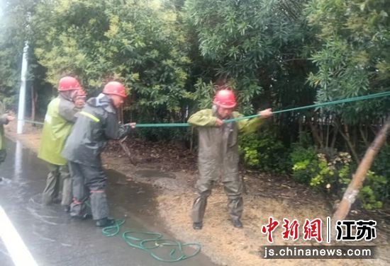 对易倒树木进行加固。盐城经开区党政办 供图 对易倒树木进行加固。盐城经开区党政办 供图