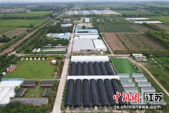千菇园。徐庄镇 供图 千菇园。徐庄镇 供图